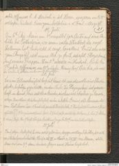 Seite 25, Tagebuch "Palästina (Tagebuch)" (NHMW-PRAE-BBB-80)
